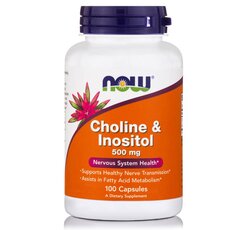 NOW FOODS Choline & Inositol 250/250mg 100caps