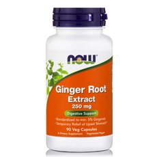 NOW FOODS Ginger Root Extract 250mg 90Vcaps