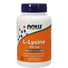 NOW FOODS L-Lycine 500mg 100caps