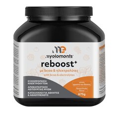  MyElements Reboost+ with BCAA & Electrolytes Forest Fruit Flavor, 675gr, fig. 1 