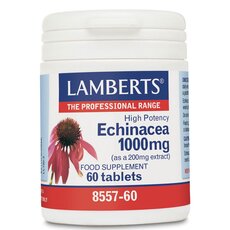 LAMBERTS Echinacea 1000mg Εχινάκεια 60Tablets