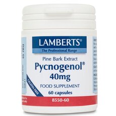 LAMBERTS Pycnogenol 40mg Συμπλήρωμα με Ισχυρή Αντιοξειδωτική Δράση 60 Κάψουλες